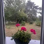 דירה Wild Garden1
