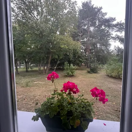 Apartamento Wild Garden1