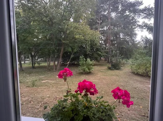Apartment Wild Garden1